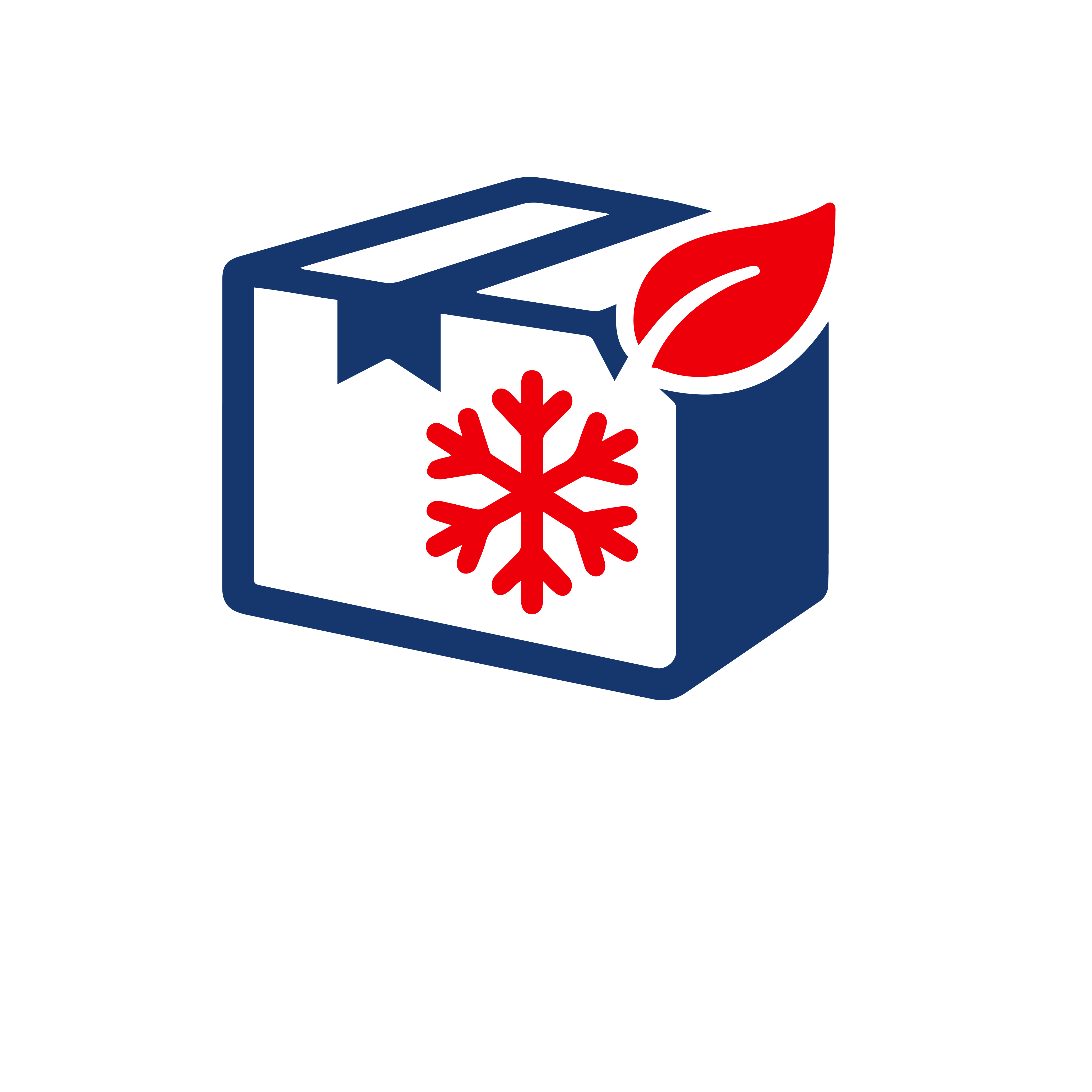 MERCANCIAS GENERALES